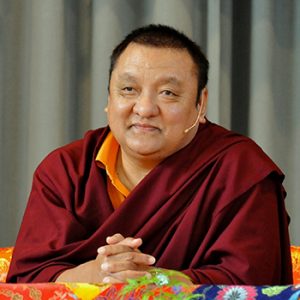 Shamarpa_Rinpoche.jpg